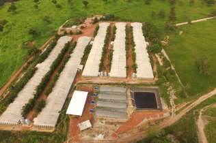 Geração a Biogás 85kw - Faz Bom Tempo - Granja 125